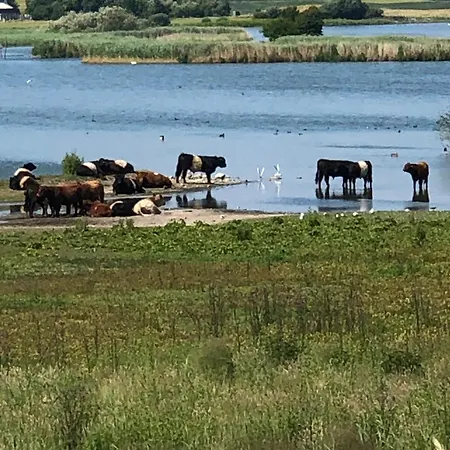 Dom wakacyjny Cozy Summerhouse Skibby